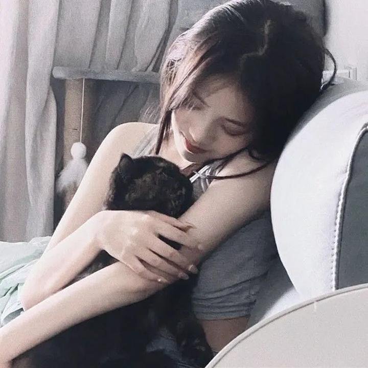 猫冬